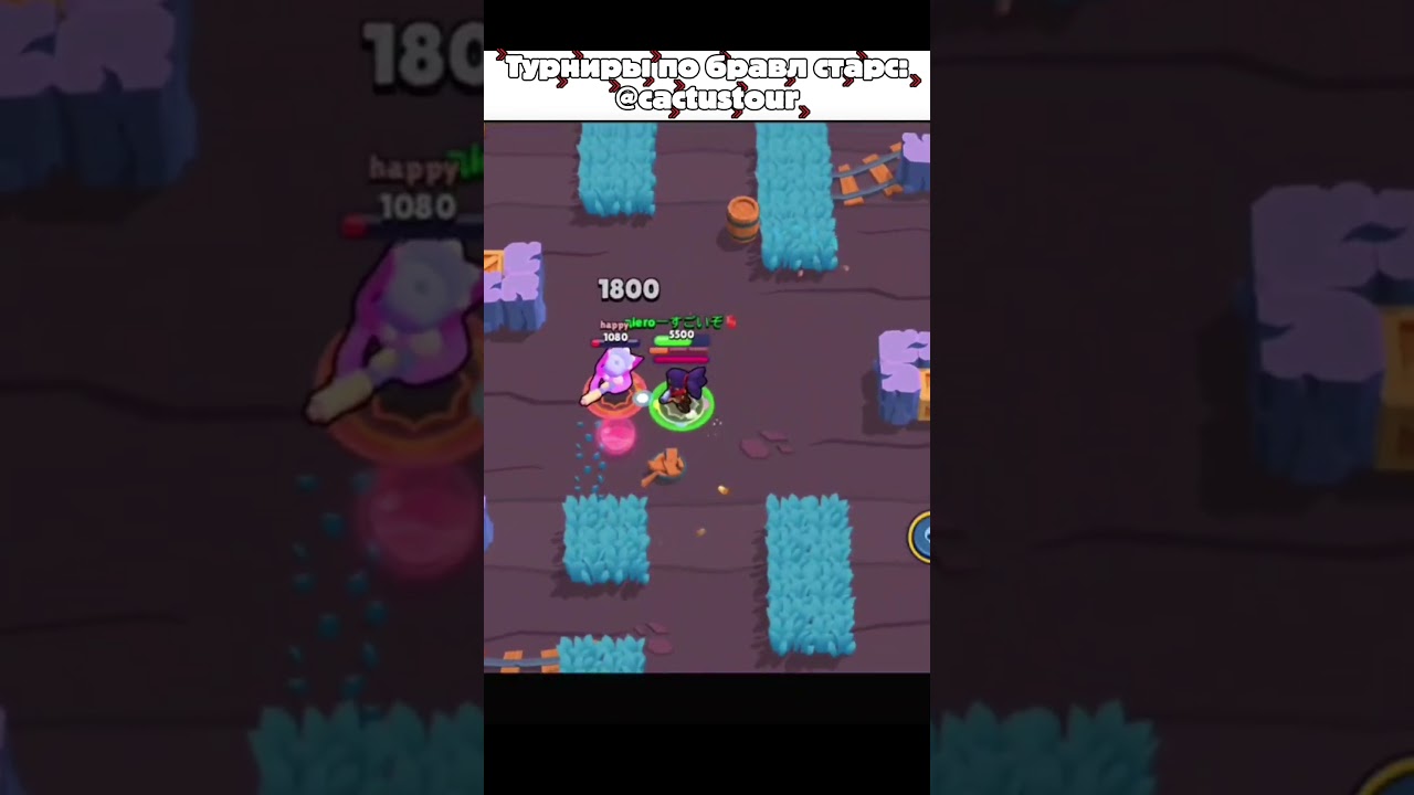 турниры тут: @cactustourp