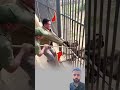 ارتح فصوت استغاثة الخائفين صعد للسماء فإذا بلطف الله يتدخل لينجيك  