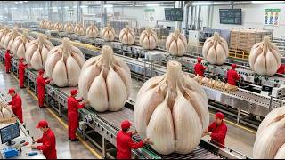 Inside the Largest US Factory: From Raw Garlic to Premium Powder (Full Process)