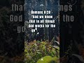 A prayer for your day #jesus #prayer #faith #koinoniaglobal