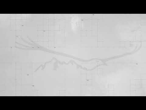 🔻\"ახალი პარადიგმა\" - გურამ ნიკოლაიშვილთან ერთად