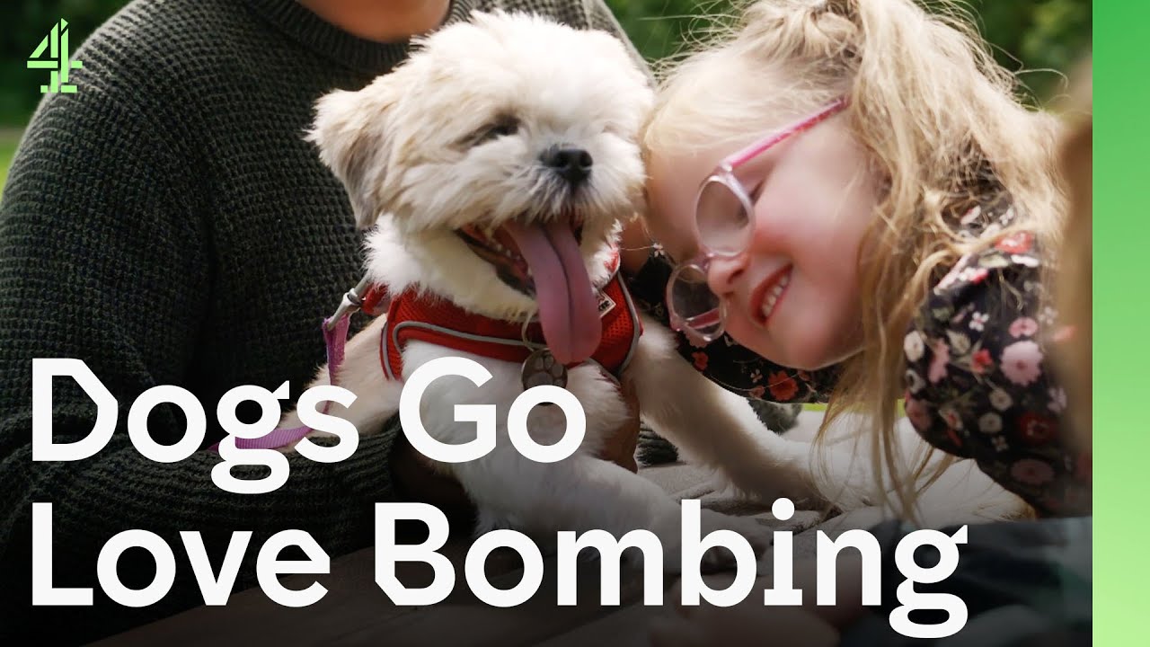 Dogs Love Bombing Like It’s Christmas Morning Giving The Best Gift of All | The Dog House 🐶