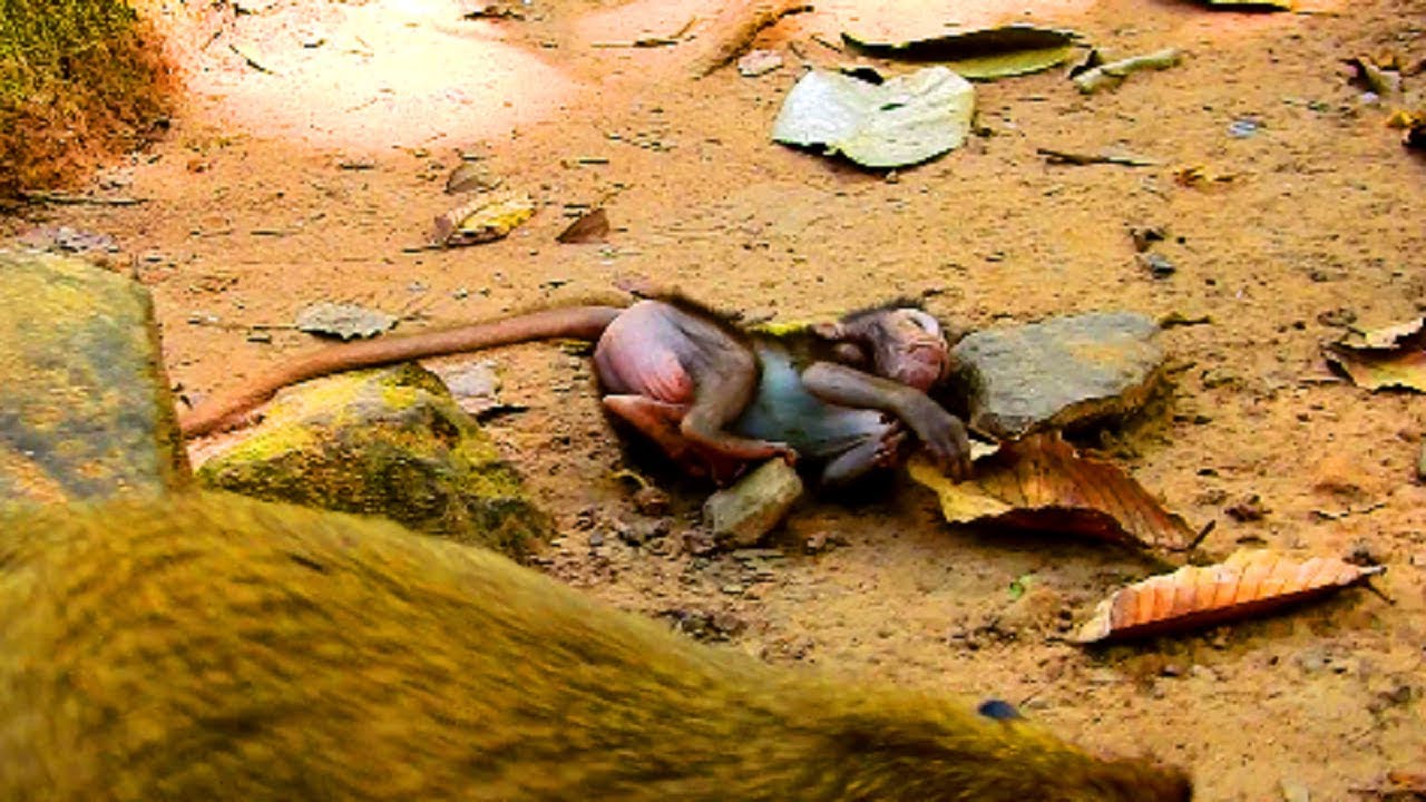 Oh Aww! What happening on baby ? Timo slide down cos very quick, Cute baby timo
