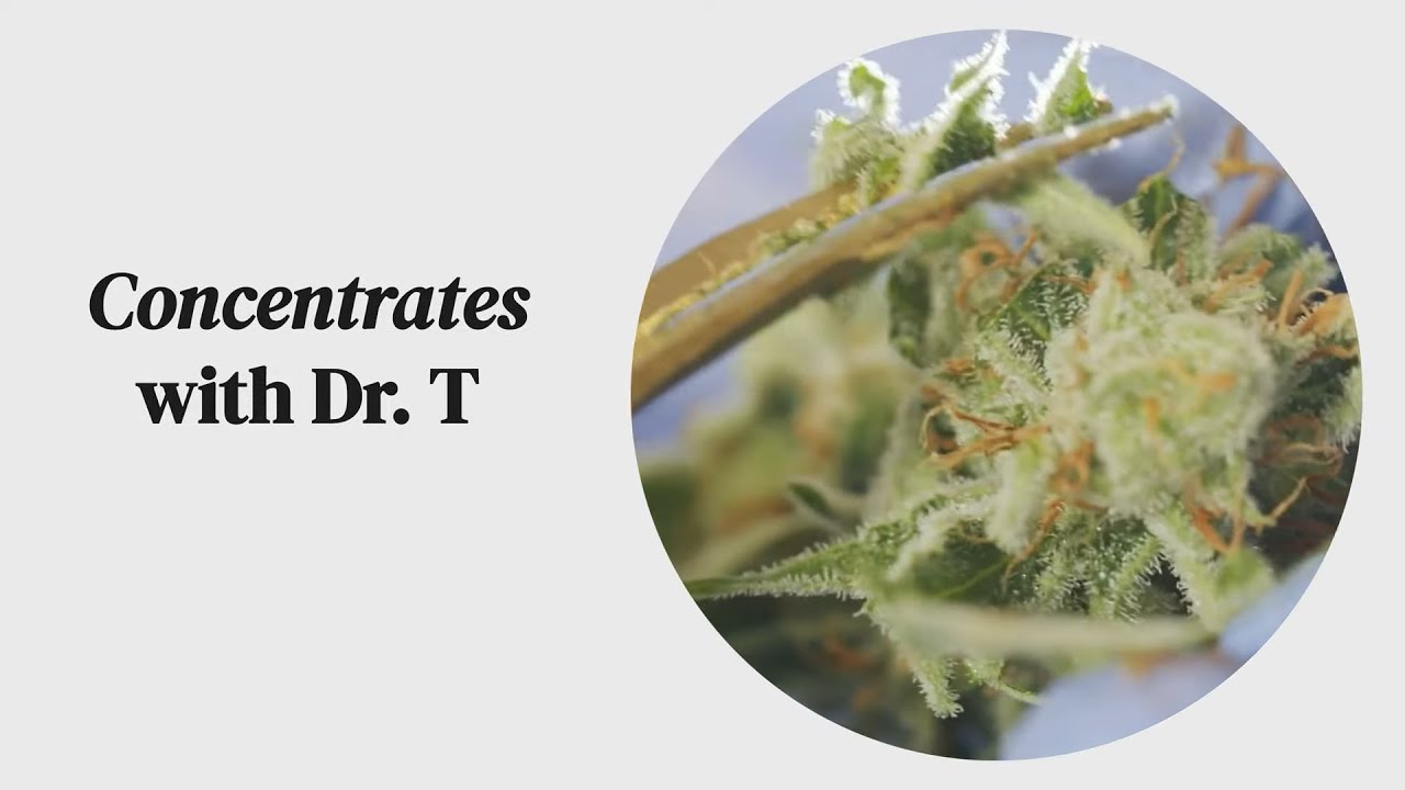 S2E1 Concentrated Knowledge: A Beginner's Guide to Marijuana Extracts