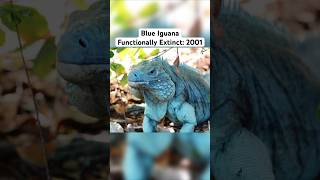 Animals that Came Back from Extinction #viral #shorts #trending