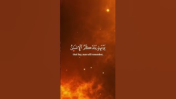 #القارئ_مشاري_العفاسي #سورة_الفجر #قرآن #اللهم_صل_على_سيدنا_محمد #لا_اله_الا_الله #quransbeauty1