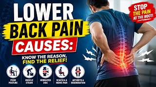 Lower Back Pain Causes Explained | Why Your Back Hurts & How to Prevent It