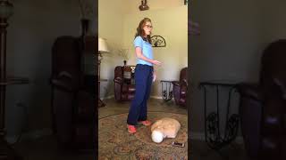Informative Speech: "3C" Hands Only CPR Sequence