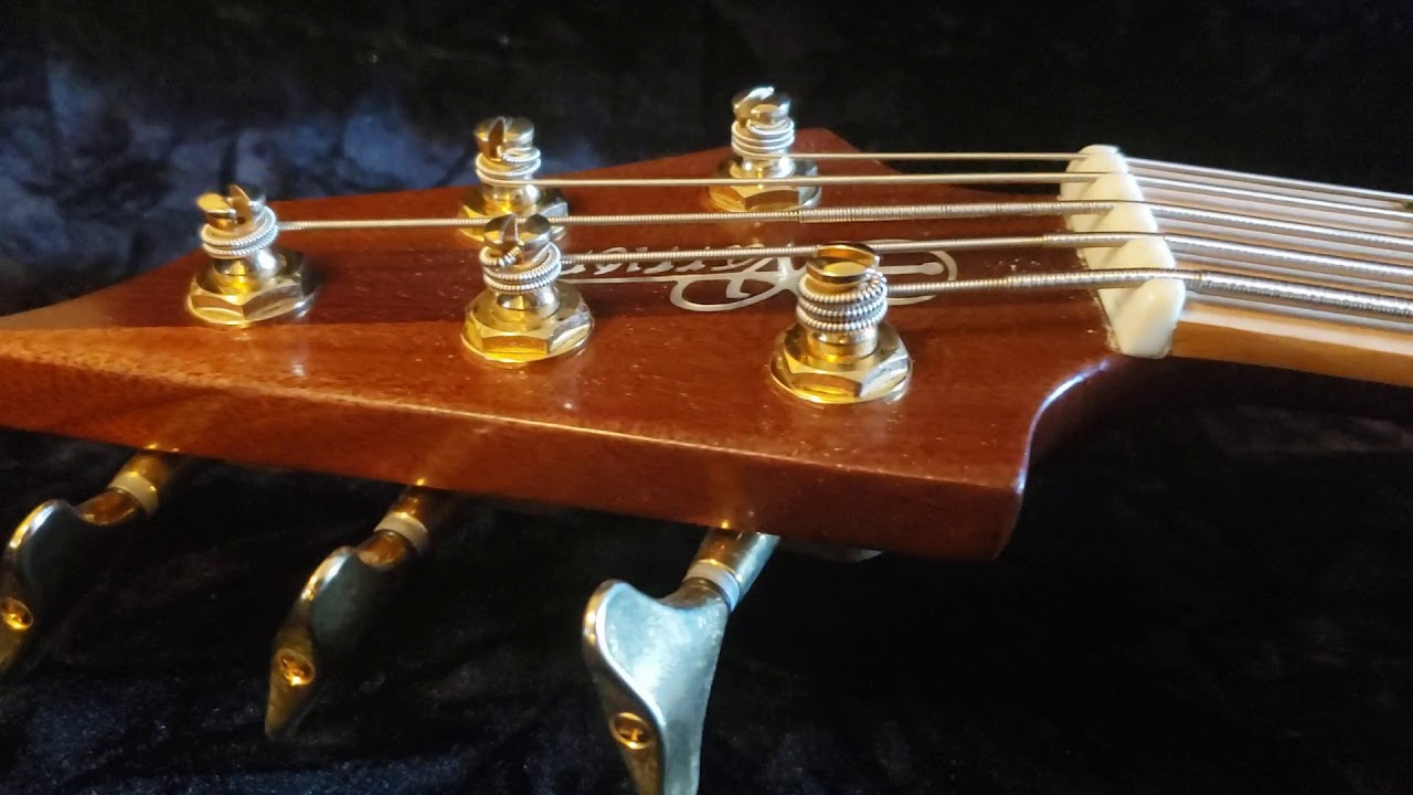 1999 Warrior Signature 5 string bass