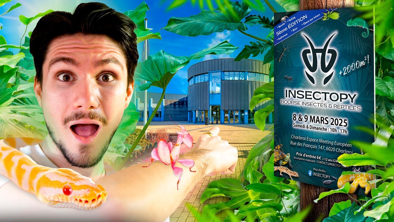 Bienvenue, à la bourse INSECTOPY !