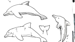 How To Draw A Pen Drawing Of A Dolphin In 6 Minutes Youtube