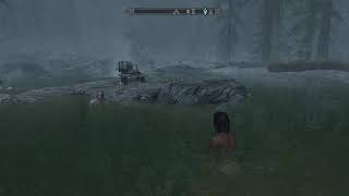 Skyrim Caught in the Rain Fishing Quest Pygmy Sunfish