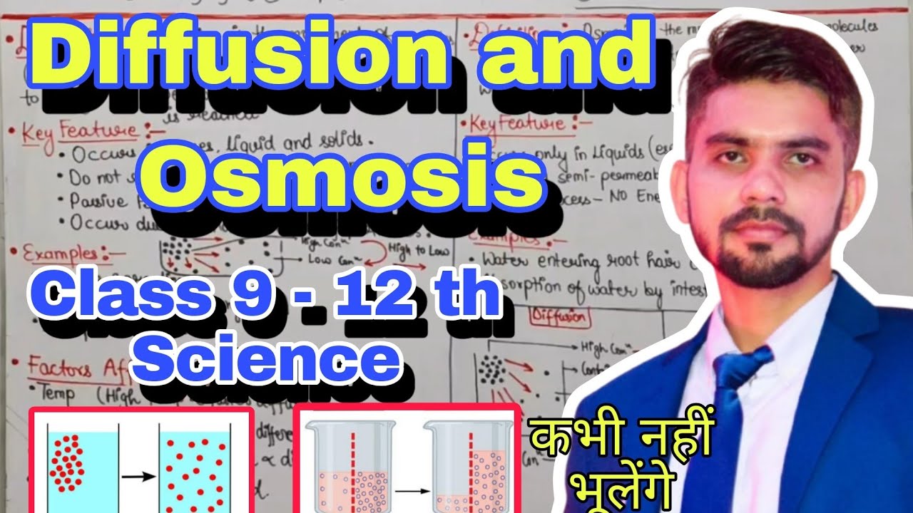 Diffusion vs Osmosis 🔥Explained | Class 9–12 | CBSE & ICSE Biology ...