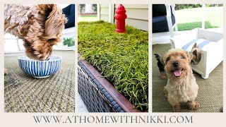 PET PATIO TOUR AND SETUP