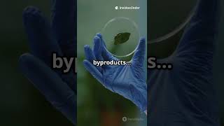 Plastic-eating bacteria discovered! Could this tiny organism fight pollution? 🌍🧫  #PlasticPollution