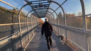 Walking over Highway 7/8 Pedestrian Overpass in Kitchener’s Vanier neighborhood