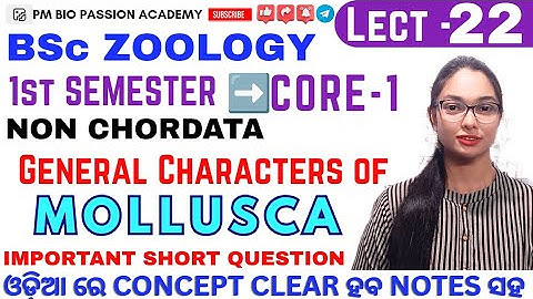 🎯KLASSE - 22 || WEEKDIEREN || ZOÖLOGIE || KERN - 1|| NIET-CHORDATA || Door Pratikshya Mishra