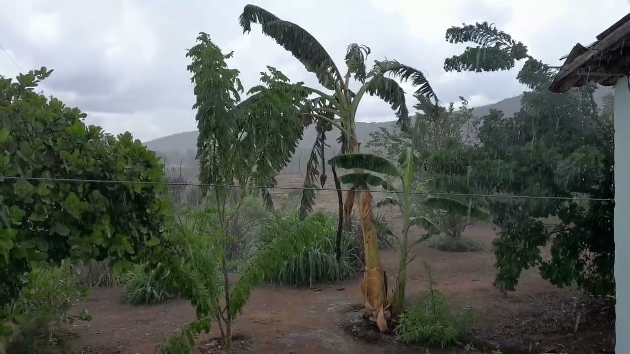 Ainda da chuva de ontem no município de cuité paraiba PB