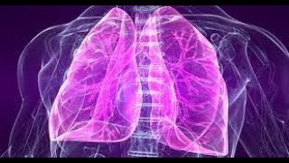 Hoy se celebra el Día Mundial de la Neumonía