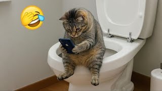 New Funniest Cats and Dogs Clips 2025😼🐶Try Not To Laugh😜 Part 1