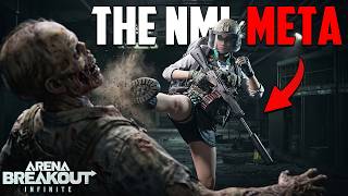 The Most Meta NML Kit For Profit In Arena Breakout Infinite The Most Meta NML Kit For Profit In Arena Breakout Infinite
