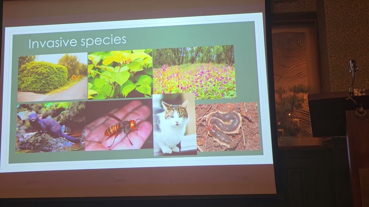 Dr.Oliver Whyte Jnr: Westport Biodiversity. 24.2.26. 