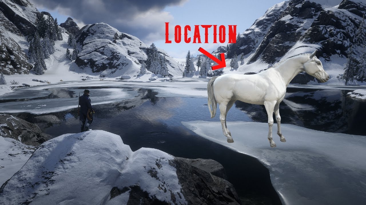 White Arabian RDR2 Location YouTube