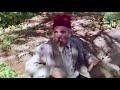 اهم مشهد للانتقام نجومي