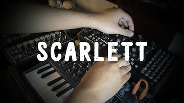 "Scarlett" with Microbrute & Moog Mother32
