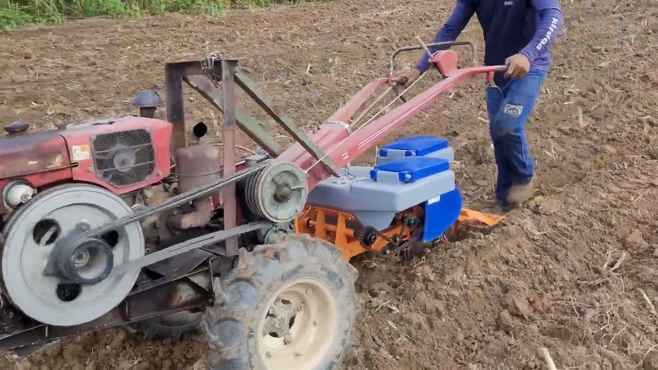 Plantando milho com micro trator