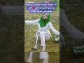 شباب وبنات جاوبوني بصراحه من يخون يحبيبه ومن يوافي فوك السؤال بلمقطع 