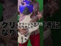 ファズフェイスマン が鈴鳴りのやり方を紹介してくれました #ギター #guitar #fuzzface