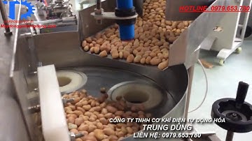 MÁY ĐÓNG GÓI ĐẬU PHỘNG ĐỊNH LƯỢNG BẰNG CỐC ĐONG