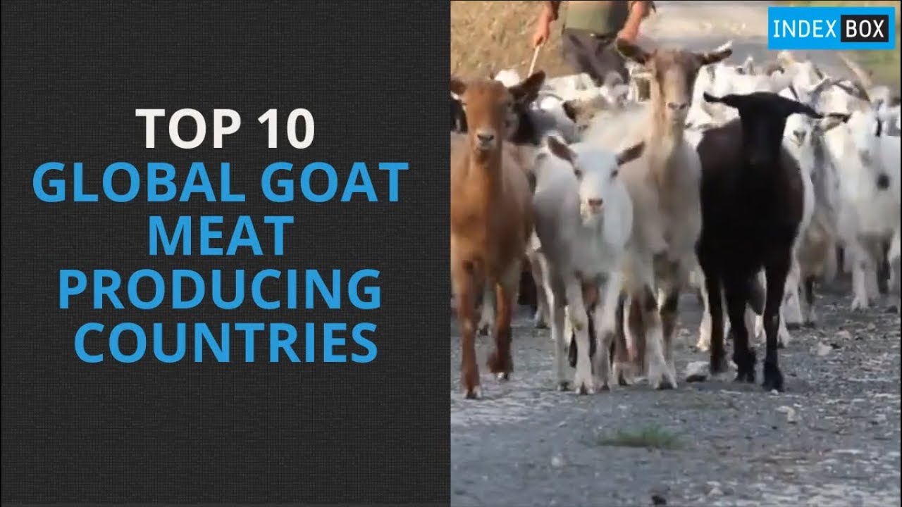 Top 10 Goat Meat Producing Countries YouTube
