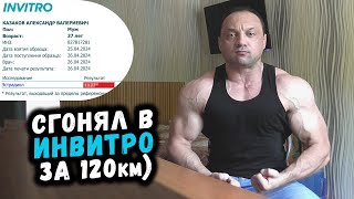 Тренболон Alpha Tech - РАБОЧИЙ или ПАЛЬ? Анализ в Инвитро!