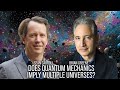 Does quantum mechanics imply multiple universes