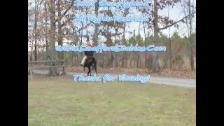 A Rowdy Mack Attack