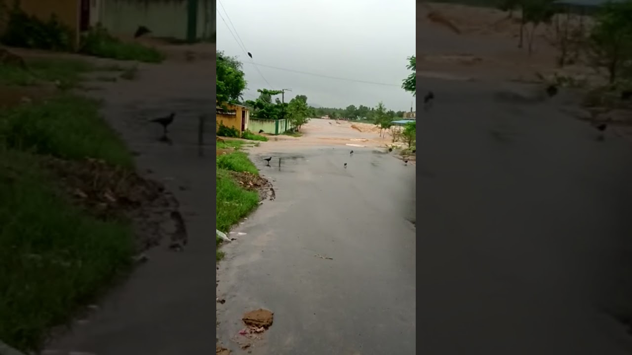 palar river flood virinchipuram 2021