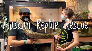 Largest Reptile Rescue in Alaska! - We visit  Jonathan’s Reptiles!