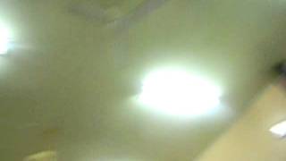P1030803