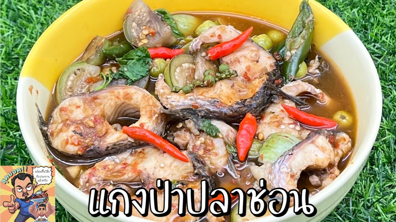 แกงป่าปลาช่อน โหน่งโชว์