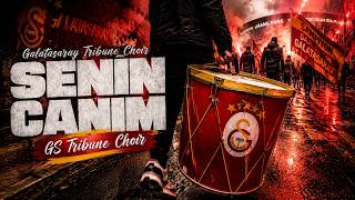Seni̇n Canim - Gs Tribune Choir Ğımsolum Çimdışımneşem