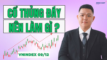 Chứng Khoán Hôm Nay 08/12 | VNINDEX 09/12: Cổ Phiếu Thủng Đáy – Nhà Đầu Tư Nên Làm Gì?