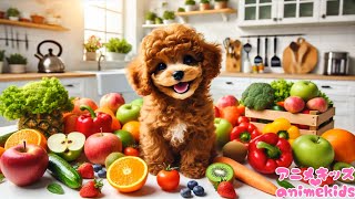 子犬がいろいろな野菜と果物を食べるよ!どんなやさいとくだものが出てくるかな? @animekids