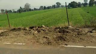 LOVE WAALI FEELING | ARIJIT SINGH, VISHAL MISHRA, SACHET-PARAMPARA, JUBIN NAUTIYAL, PAYAL DEV