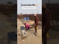 Boundary work #construction #contractor #youtube