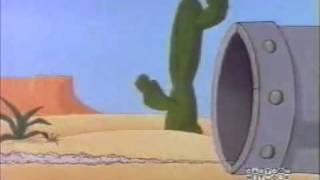 Coyote catches Road Runner.flv