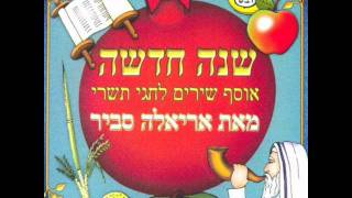 אריאלה סביר מדוע Ariela Savir