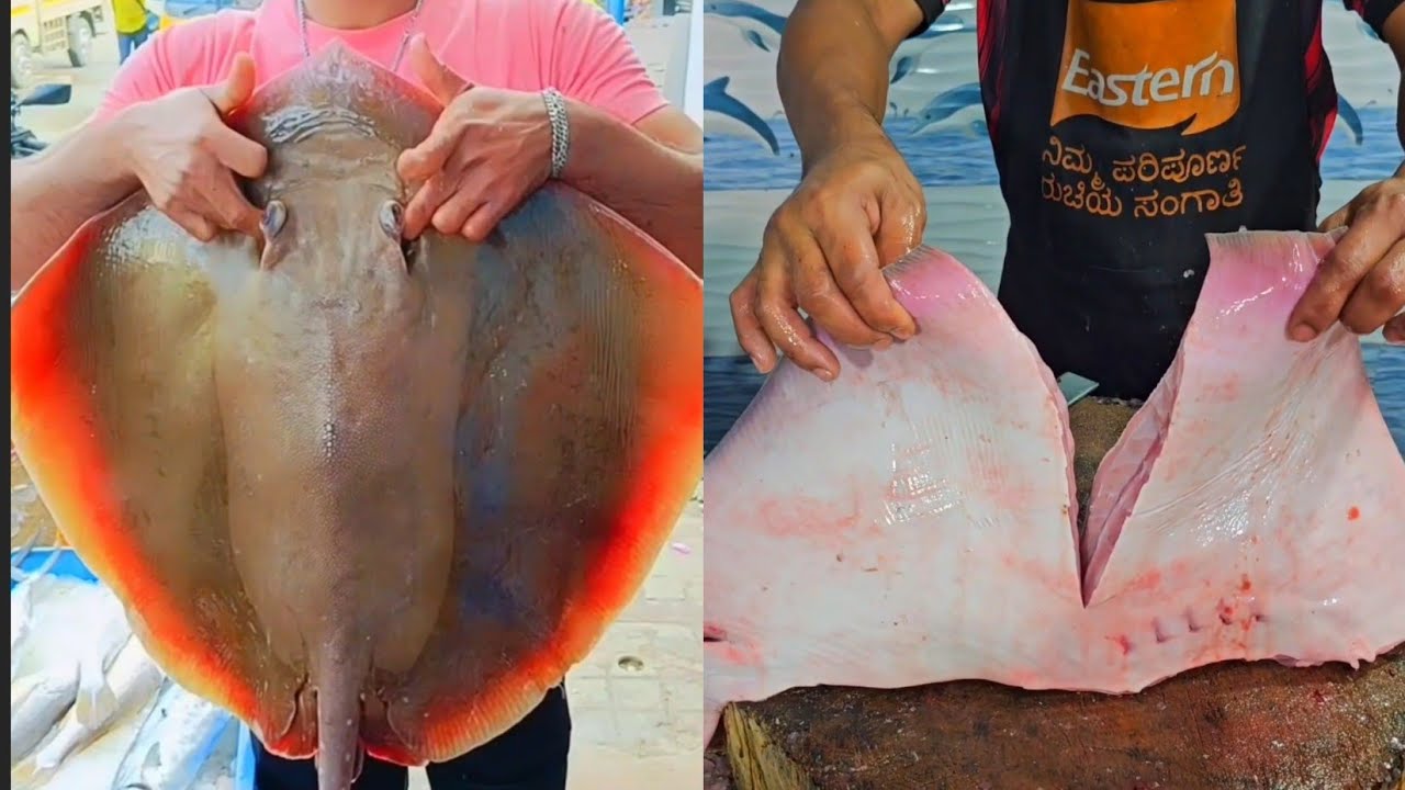 stingray Thirandi cutting skills!! sagar fish belathur Kadugodi - YouTube