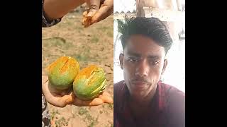 #fruit #mango #breakingnews #breakingnews #funny #duet #zodiac #comedy